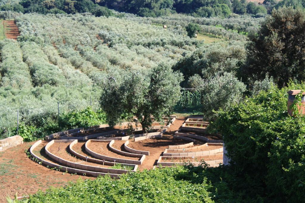 Agriturismo Ss Annunziata San Vincenzo Exterior foto